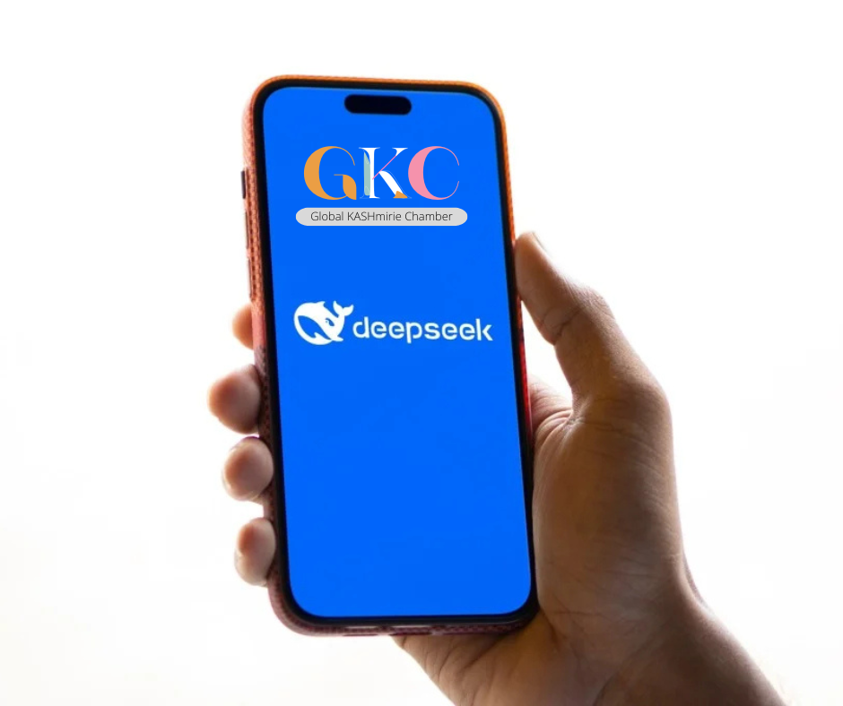 What DeepSeek Can Teach Us About Resourcefulness in an Age of Scarcity and Speed post thumbnail image